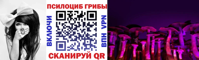 МЕГА онион  Чудово  Псилоцибиновые грибы Magic Shrooms 
